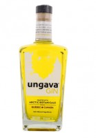 Ungava Gin 43,1% 1 l (bloße Flasche) 