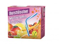 Durstlöscher Multivitamin 12 Frucht 0,5 l 