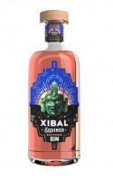 Xibal Gin Equinox 40% 0,7 l (holá láhev) 