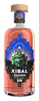 Xibal Gin Equinox 40% 0,7 l (holá láhev) 